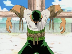 Zoro tied up