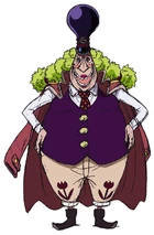 Kokoro One Piece Wiki Fandom