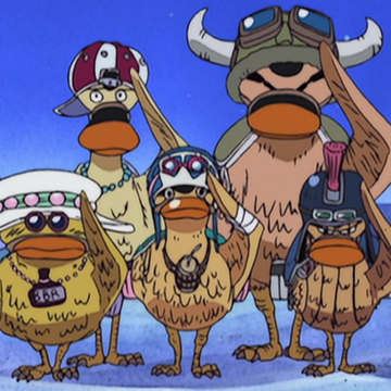Super Spot Billed Duck Troops One Piece Wiki Fandom