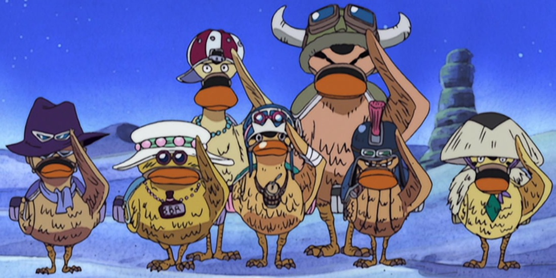 Karoo, One Piece Wiki, Fandom