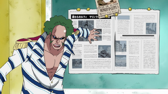 Brannew One Piece Wiki Fandom