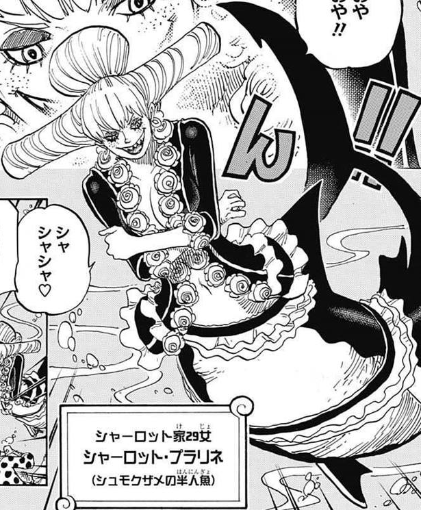 Charlotte Praline One Piece Wiki Fandom