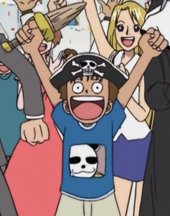 Pandaman One Piece Wiki Fandom