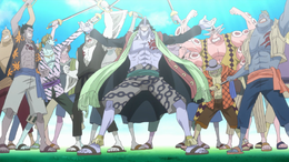 Hommes Poissons One Piece Encyclopedie Fandom