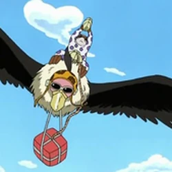 Nevezuchie One Piece Wiki Fandom