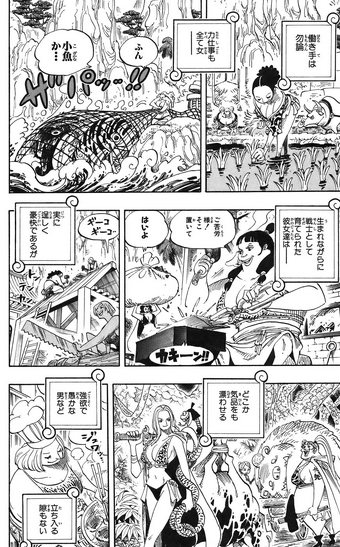 Kuja One Piece Wiki Fandom