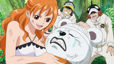 Nami cura a los Piratas de Heart