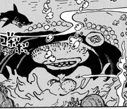 Sanjuan Wolf dans la Mer