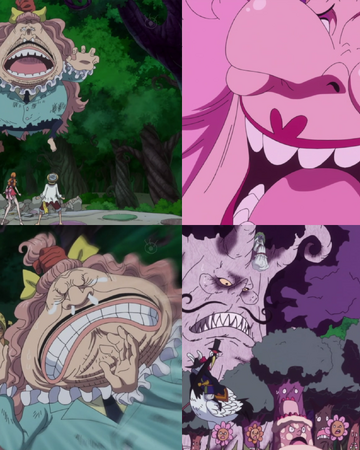Episodio 797 One Piece Wiki Fandom