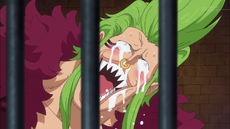 Bartolomeo réaction Zoro