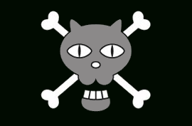 Black Cat Pirates | One Piece Wiki | Fandom