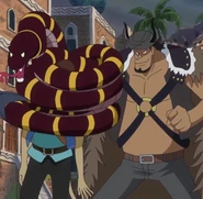 "SMILE węża (prawdopodobnie boa)".