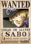 Wanted Posters One Piece Wiki Fandom