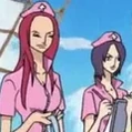 Whitebeard's Nurses Portrait.png