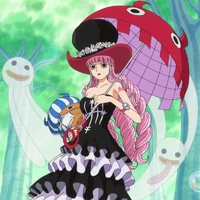 Perona One Piece Wiki Fandom Add interesting content and earn coins.