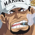 Sakazuki Portrait.png