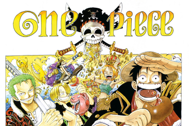 EXPLAINING the One Piece World!, One Piece 101