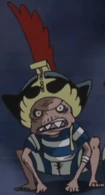Daruma One Piece Wiki Fandom