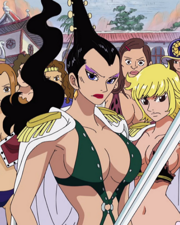 九蛇 航海王wiki Fandom