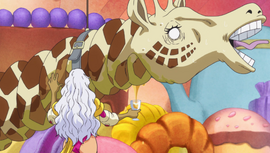 Shibo Shibo no Mi | One Piece Encyclopédie | Fandom