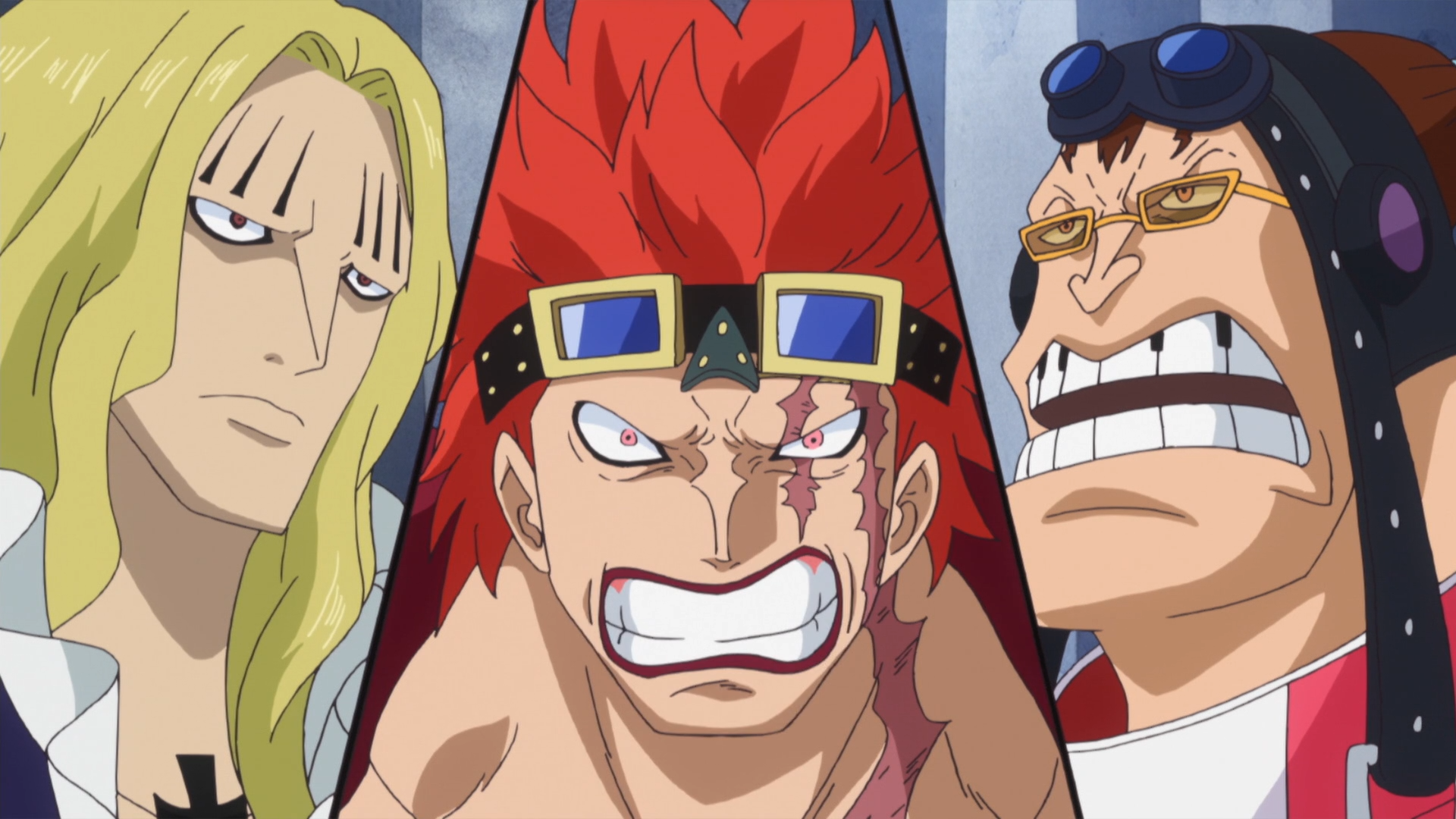 Pirate Alliance One Piece Wiki Fandom