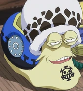 Trafalgar Law's Personalized Den Den Mushi.png (829 KB) Ślimakofon Lawa.