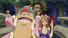 Vito captura a Nami y a Chopper