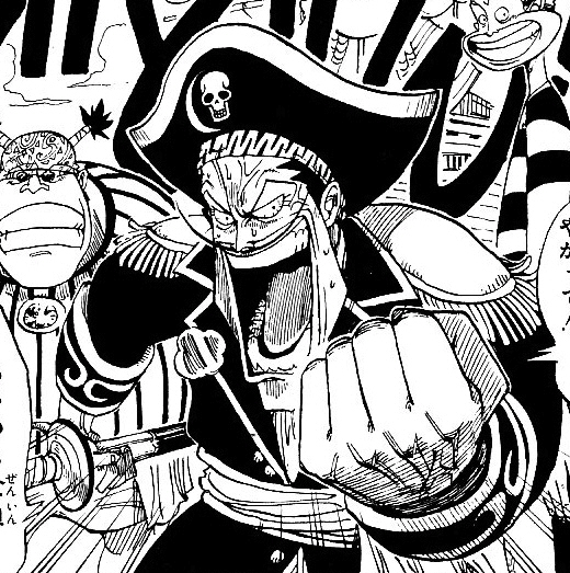 Gally One Piece Wiki Fandom