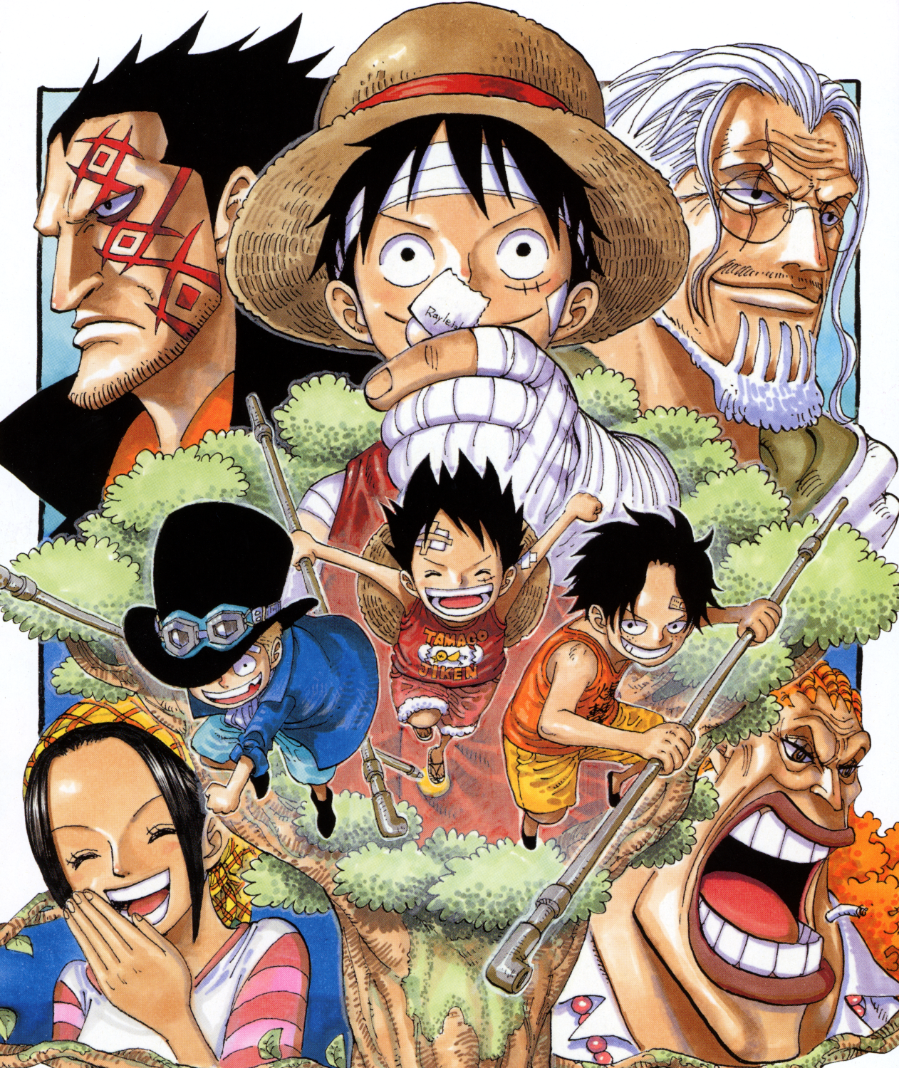 Post War Arc One Piece Wiki Fandom