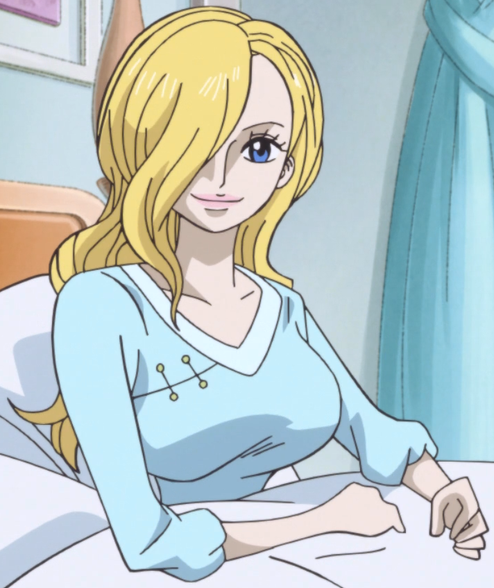 6 Facts about One Piece Vinsmoke Sora, Sanji's Kind Mother!, by Kznwebsite