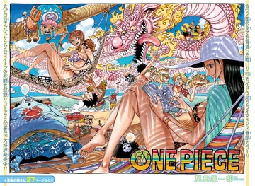 画材 ONE PEACE/SUMER IS FALLING Chapter 1047 | One Piece Wiki | Fandom
