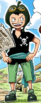 Piiman One Piece Wiki Fandom