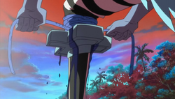 Oto and Kogarashi, One Piece Wiki