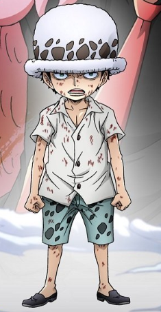 Trafalgar D Water Law One Piece Wiki Fandom Trafalgar D Water Law One Piece Wiki Fandom