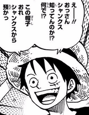 Volume 81 One Piece Wiki Fandom