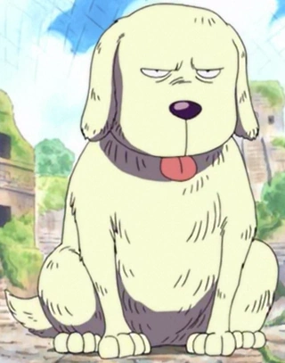 Animal Species Sky Island Saga One Piece Wiki Fandom
