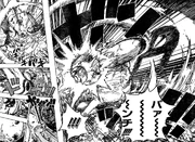 El King Punch de Elizabello II.