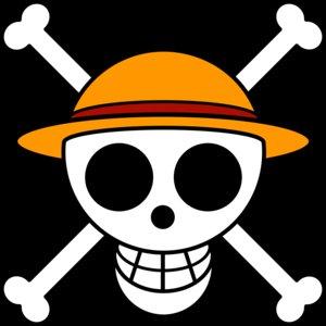 Đại Hạm Đội Mũ Rơm | Việt One Piece Wiki | Fandom