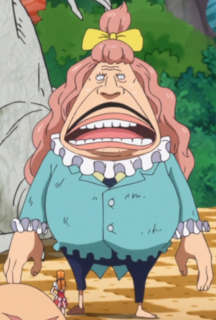 Pound One Piece Wiki Fandom