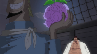 Yami Yami No Mi One Piece Wiki Fandom - devil fruits spawn one piece pirates wrath roblox