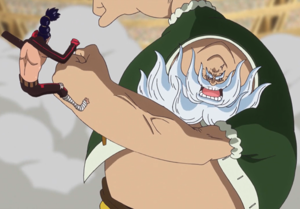 Ideo | One Piece Wiki | Fandom