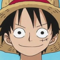 Luffy profila