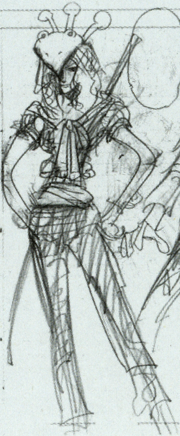 Miss Tuesday One Piece Wiki Fandom Miss Tuesday One Piece Wiki Fandom