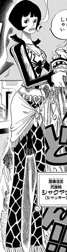 Shakuyaku | One Piece Wiki | Fandom