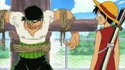 Zoro luffy