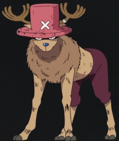 Chopper Man, One Piece Wiki