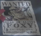 Foxy wanted