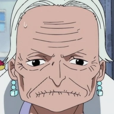 Tsuru | One Piece Wiki | Fandom