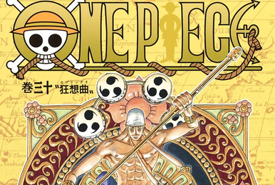 Amazon.com: One Piece, Vol. 28: Wyper the Berserker