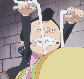 Episode 845 - One Piece - Anime News Network